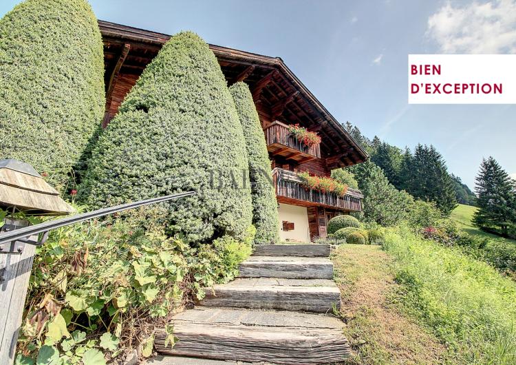 Magnifique Chalet  sur les hauteurs du village